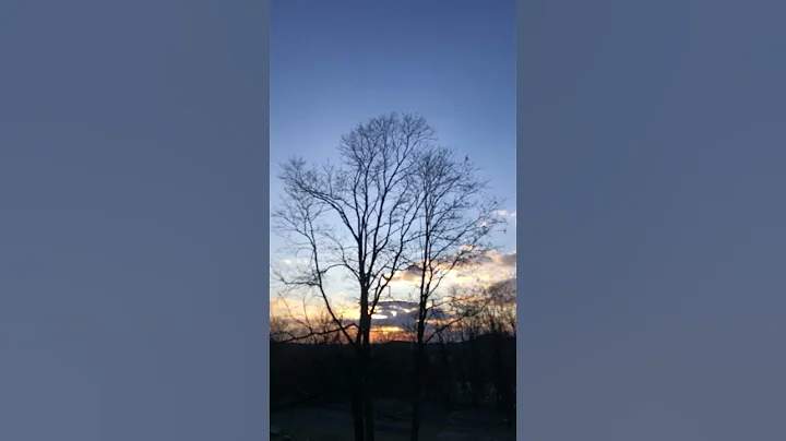 3/25/25 Chasing Sunsets 🌅🐶🐶🐶 #beagles #sunset #sunsetview #subscribe