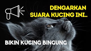 Suara kucing memanggil bikin kucingmu bingung by MeongLy 260 views 2 years ago 10 minutes, 2 seconds