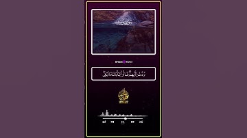 تلاوة تهز القلوب بصوت الشيخ عبدالله مصطفى.. خشوع من نوع خاص 🌿