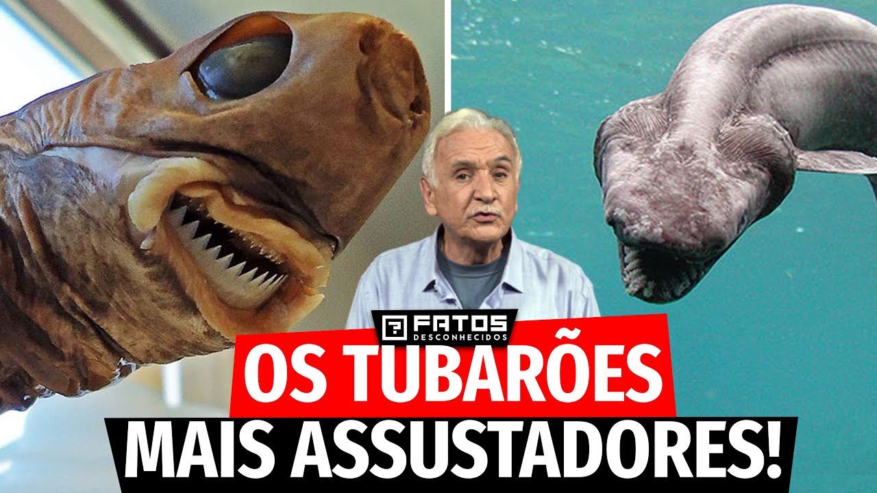 Por que os tubarões das profundezas do mar são mais assustadores?