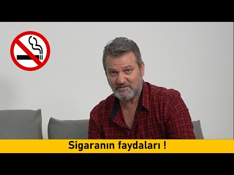 Video: Sigara Içmek Için En Iyi Balık Hangisidir