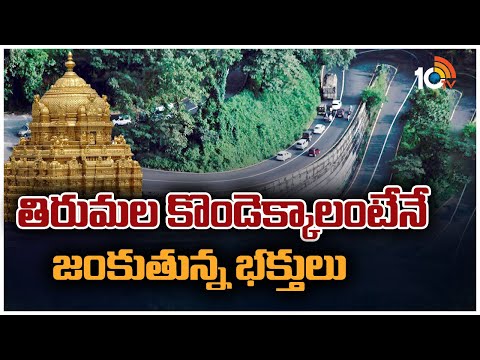 తిరుమల కొండెక్కాలంటేనే జంకుతున్న భక్తులు | Special Focus on Tirumala Ghat Road Incidents | 10TV