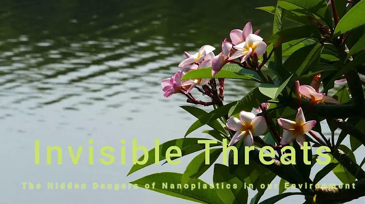 The Hidden Threats of Microplastics