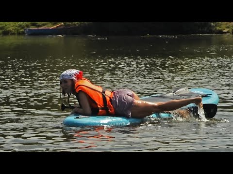 Kuzminki, Pet shop Sup-swimming with dogs on a board-1/Кузьминки, Petshop Sup-плавание с собаками-1.