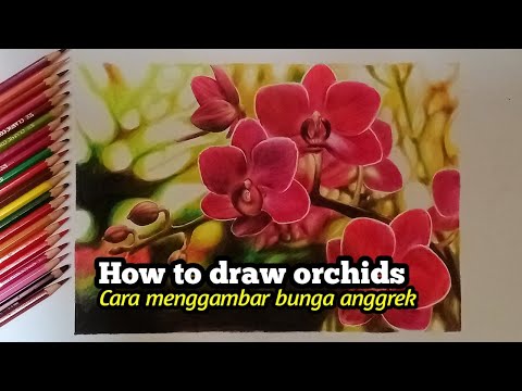 Video: Cara Melukis Orkid