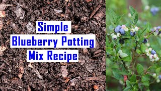 Easy Acidic Potting Soil Recipe for Growing Blueberries in Containers