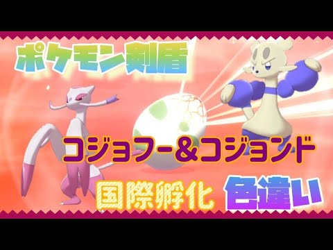 ポケモン剣盾 色違いのコジョフー爆誕 コジョンド 国際孵化 Youtube