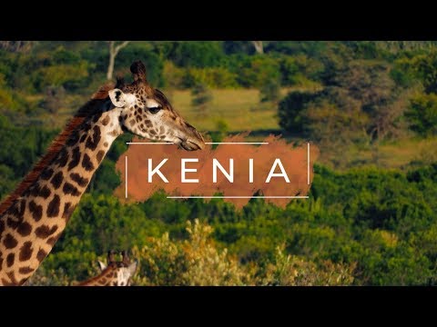 Vídeo: Sigue Esta Aventura Compasiva En Kenia - Matador Network