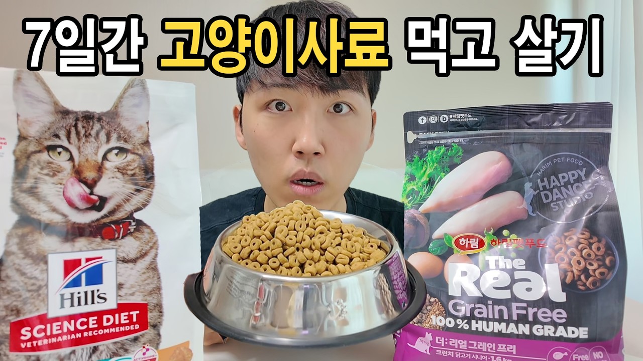 7일 동안 고양이 사료만 먹으면 생기는 일