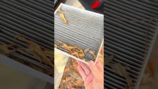 How to Change Hyundai Palisade and Kia Telluride Cabin Air Filter