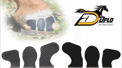 Duplo Glue on Horseshoe Removal