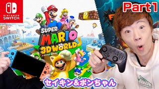 【スーパーマリオ Dワールド】Part1  セイキン&ポンちゃんで初プレイ!!【Nintendo Switch】【スーパーマリオ ワールド  フューリーワールド】