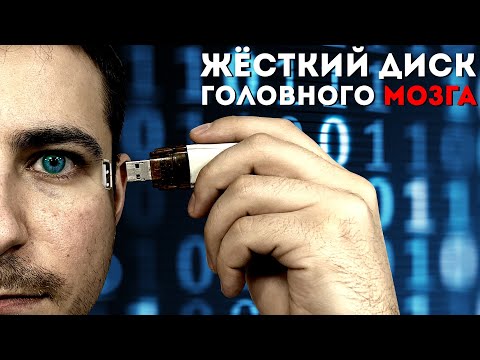 Жёсткий диск головного мозга | Где находится память?