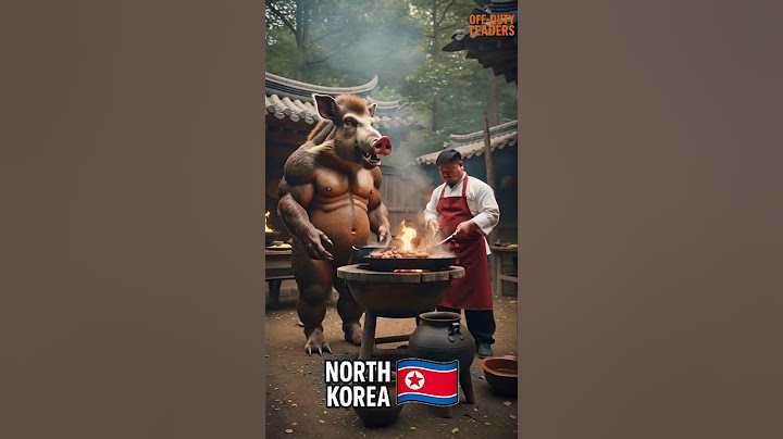 🔥🍽️ What If 10 Countries Cooked Together? 🌍🐾