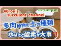 【多肉植物】【ガーデニング】🚰土と種類 水はけと酸素が大事!