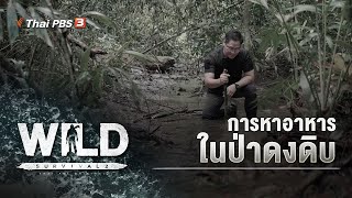 การหาอาหารในป่าดงดิบ : WILD SURVIVAL ซีซัน 2