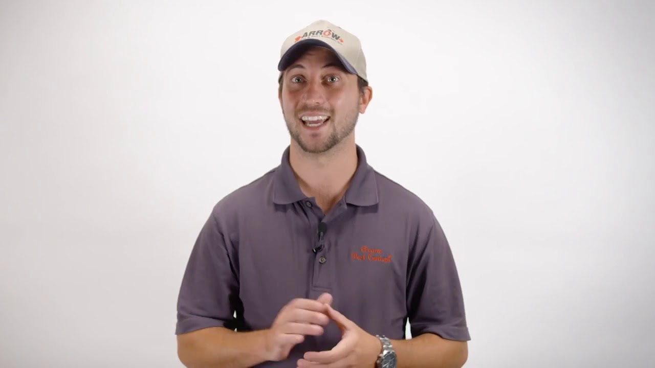 Arrow Termite  Pest Control - Mosquito Service