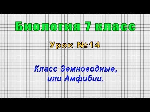 Биология 7 класс (Урок№14 - Класс Земноводные, или Амфибии.)