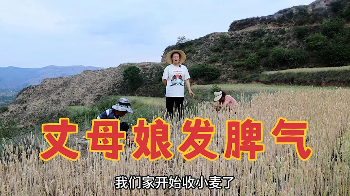 女兒遠嫁後獨自一人回娘家，惹得媽媽大發脾氣，隔空喊話外地女婿，女婿一番話不知該感動還是該尷尬 - 天天要聞