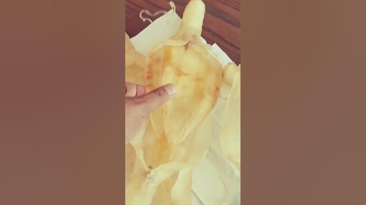 Nile Perch Fish Maw High Quality Best Seafood In The World YouTube nile-perch-fish-maw-high-quality-best-seafood-in-the-world-youtube