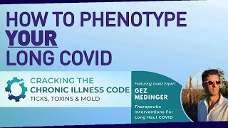 How To Phenotype Your Long Covid | Activity, Dysautonomia & PEM