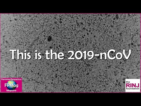 this-is-the-2019-ncov-(wuhan-novel-coronavirus)