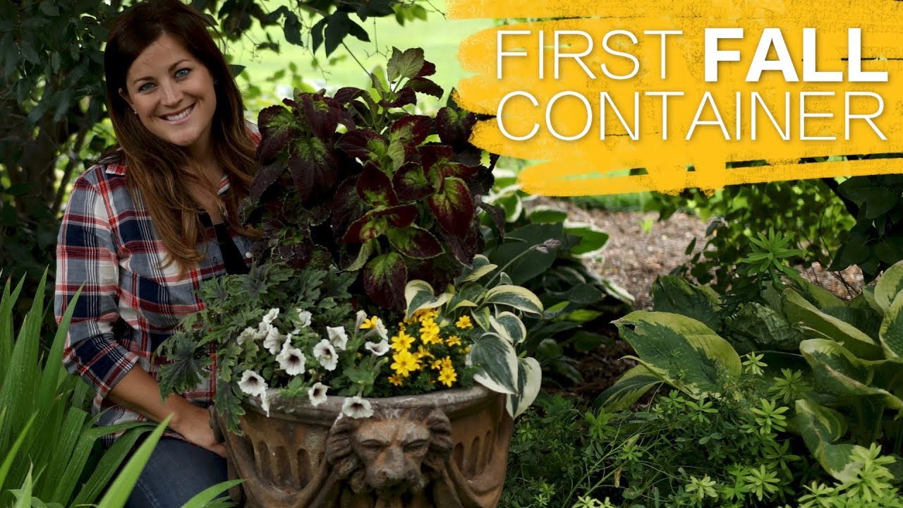 A Container for Fall | Seasonal Planting Inspiration by Proven Winners