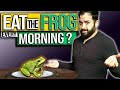 Eating the frog saying  what does it mean to eat the frog first in the morning
