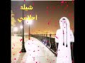 شيله احلامي اداء عمر شامان الرشيدي