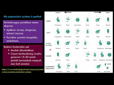 Video: Panel Protein Rekombinan Dari Spesies Plasmodium Infektif Manusia Untuk Pengawasan Serologis