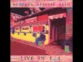 Mendoza,Heredia & Neto - Ain't no sunshine (Live in L.A)