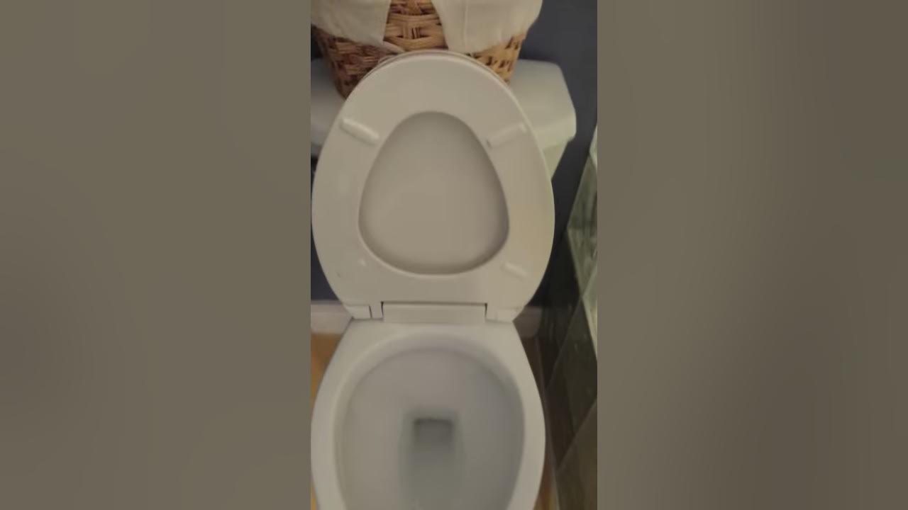 Foremost Toilet in Reno'd Bathroom YouTube