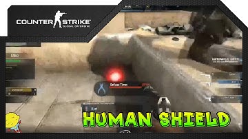 NiP Human Shield vs  Fnatic | ESL One Katowice 2015