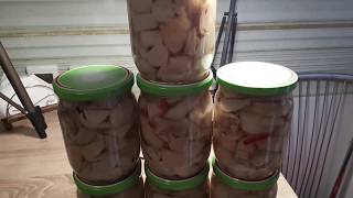 КАК Я КОНСЕРВИРУЮ ГРИБЫ КАК Я КОНСЕРВИРУЮ ГРИБЫ