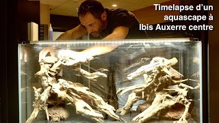 Timelapse Dun Aquascape Réalisé À Ibis Auxerre Centre - Laurent Garcia