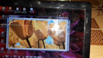 DELPHI SERVER CLIENT APLIKASI APOTIK BAHAGIA