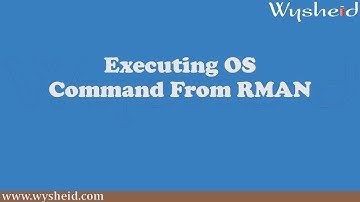 Executing OS Commands from RMAN