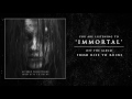 Altered perceptions  immortal track