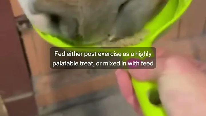 Boost lean muscle & strength in performance horses with CuraHorse® Protein Pellets.