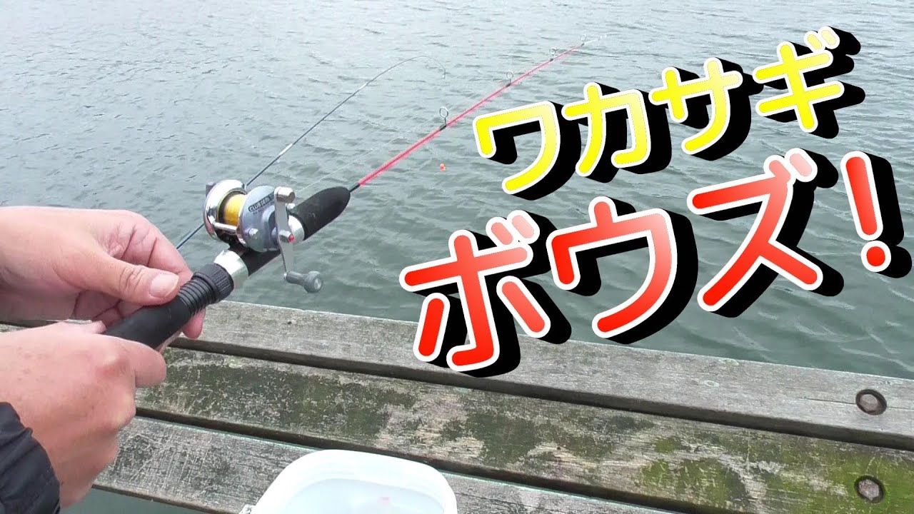 余呉湖ワカサギ釣りボウズ ギル猛攻 ノックアウト 小物釣り47 わかさぎ釣り 公魚 余呉湖 琵琶湖 Lake Yogo Lake Biwa River Fishing Youtube