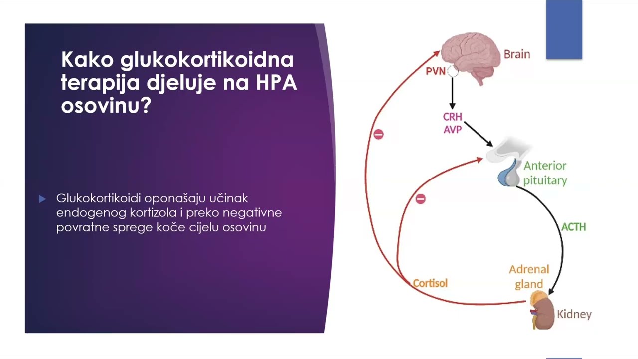 How do I - Kako izostaviti dugotrajnu glukokortikoidnu terapiju?