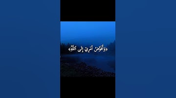 ﴿وَأُفَوِّضُ أَمۡرِيٓ إِلَى ٱللَّهِۚ﴾ - من سورة غافر ، من الاية ٤٤ ، الشيخ عبد الباسط عبد الصمد