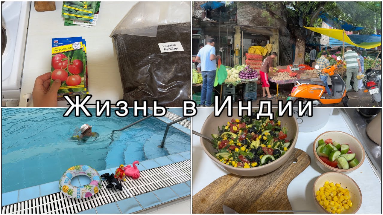 Влог. Веганские рецепты | Будни в Индии