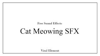 Cat Meowing Sound Effect | High Quality, Free Download