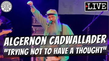 Algernon Cadwallader "Trying Not to Have a Thought" LIVE