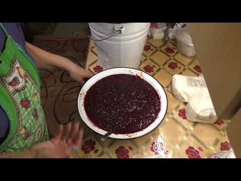 Домашнее ВИНО из СМОРОДИНЫ часть 1