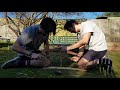 HOW TO MAKE FIRE WITHOUT MATCHES ● BOW DRILL TECHNIQUE ● OUR PROGRESSION with Primitive Technology