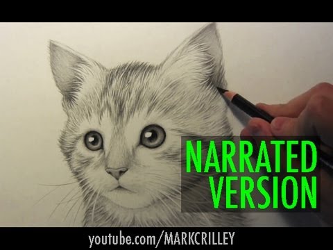 Video: How To Draw A Kitten Step By Step With A Pencil