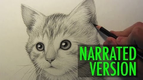 How to Draw a Kitten: Narrated Step by Step