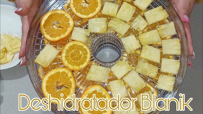 DESHIDRATADOR DE ALIMENTOS BDA020  Blanik - Innovación en la Cocina